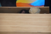 karnabal 2018-85